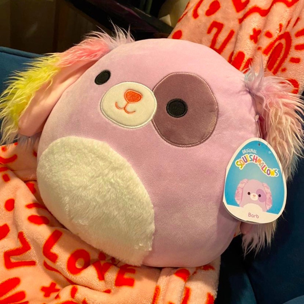 Barb squishmallow